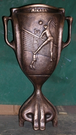 DVV-Pokal